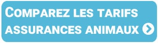Confronta i tassi di assicurazione animale e le garanzie